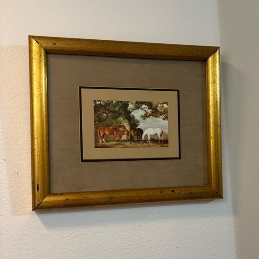 Framed Horse Artwork with Gold Frame George Stubbs